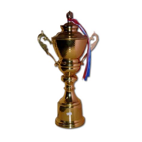 Metal Cup Trophy At Rs 900pieces Nangloi Delhi Id 11425063662
