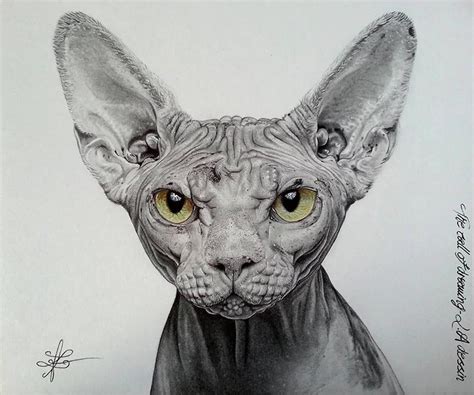 See more ideas about art drawings, art, drawings. Awesome Pets Drawing Art - XciteFun.net