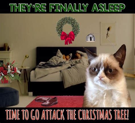Grumpy Cat Grumpy Cat Christmas Grumpy Cat Grump Cat