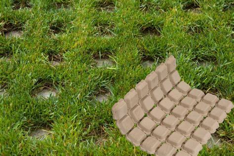 There are many options out there for the material used to build your driveway. Drivable Grass, a permeable plantable pavement. | Grass ...