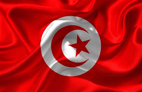 People interested in turquia flag also searched for. 🥇 Imagen de Bandera de Turquia - 【FOTO GRATIS】 100010134