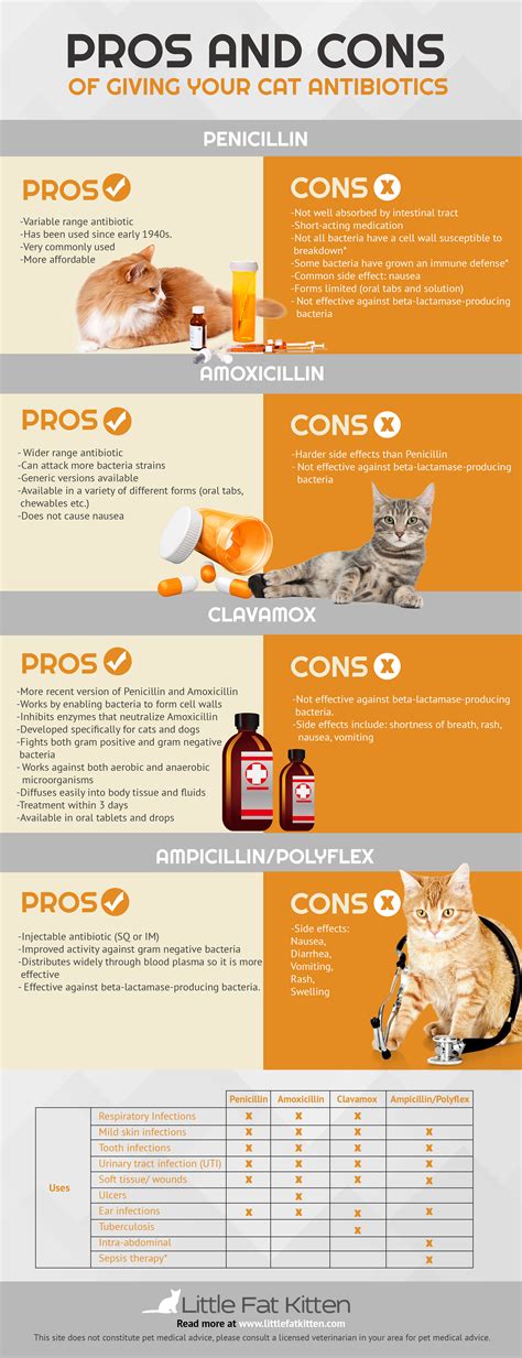 Mar 15, 2021 · maximum dosage 34 grams/ day po for daily chronic use. How Much Penicillin to Give a Cat? The Right Dosage You ...