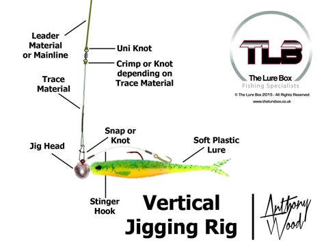 Vertical Jigging Rig Diagram Lure Fishing Technique The Lure Box