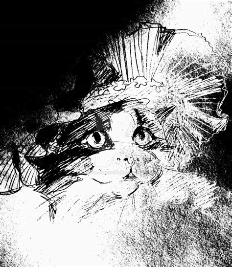 Ledy Cat By Viktoria Hudgehog23 On Deviantart