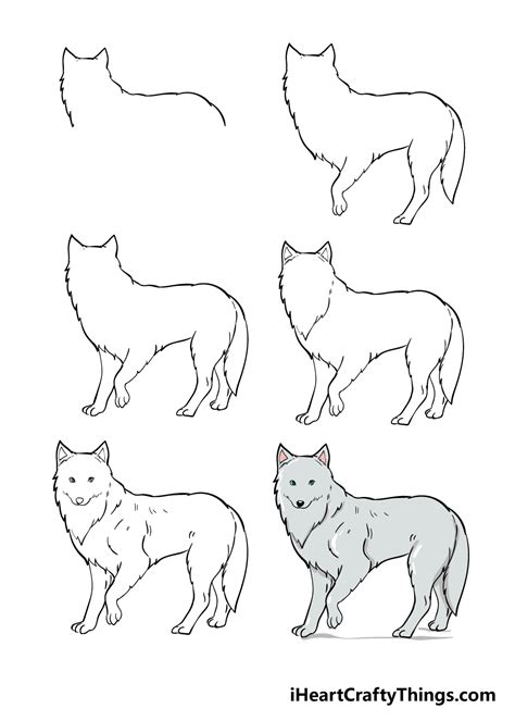 Arctic Fox Drawing For Kids