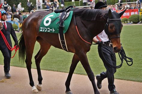 ハルウララ(ウマ娘) ※勝利すらない。 ナイスネイチャ(ウマ娘) ビコーペガサス(ウマ娘) gⅰの2着が3度ある。 イクノディクタス(ウマ娘) gⅰの2着が2度ある。 ちとせ 競馬写真撮影記: 3/10 中山牝馬S マイネイサベル など ...