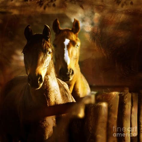 Horses In Autumn Shades Horses Most Beautiful Animals Pretty