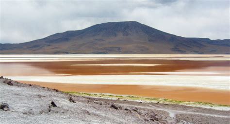 Deserto de Atacama - Deserto de Dali, geiseres, laguna colorada, laguna verde e laguna blanca ...