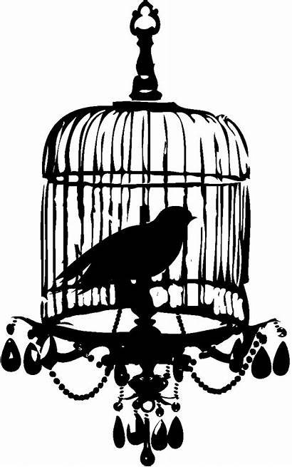 Bird Cages Cage Birdcage Clipart Birds Silhouette