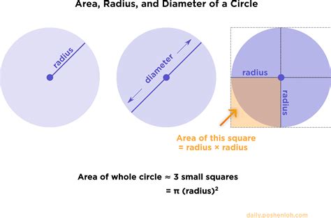 Visuals For Radius Diameter And Area Of A Circle Forum — Daily Challenge
