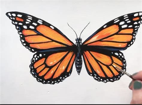 Step By Step Butterfly Easy Drawing And Painting Tutorial