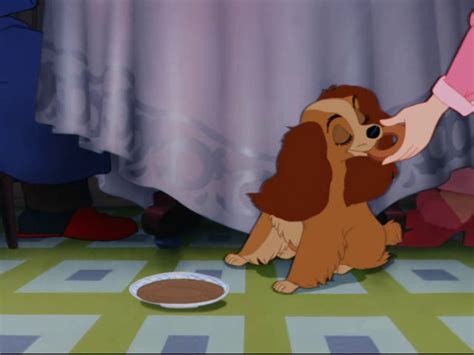 What Kind Of Dog In Lady And The Tramp Pets Lovers