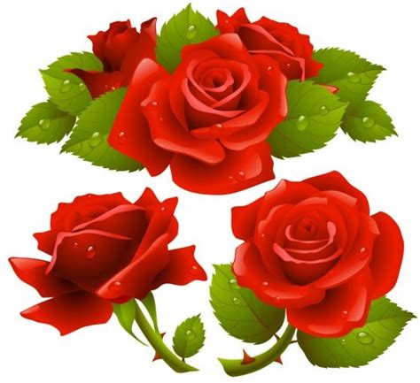 Free Rose Flower Vector Vectors Graphic Art Designs In Editable Ai
