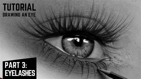 How To Draw Realistic Eyelashes For Beginners Step By Step Tutorial