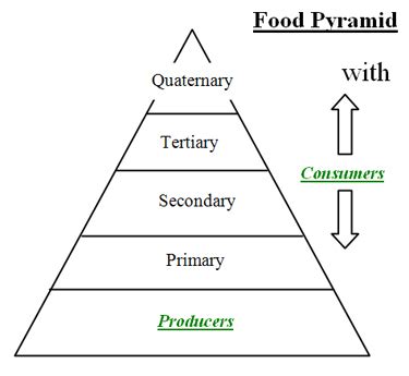 Check spelling or type a new query. Consumers and Producers