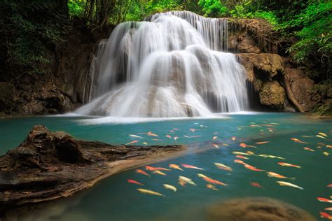 Tropical Waterfall Wallpapers Top Free Tropical