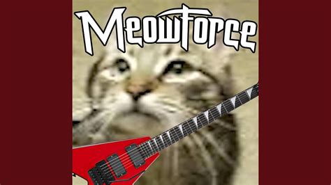 Through The Meows And Purrs Meowforce Youtube