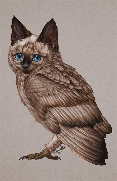 Coffee the Owlcat : drawing