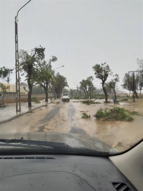 As cyclone eloise continued to track west across central mozambique, it quickly lost wind intensity. Tropical cyclone Eloise makes landfall in Mozambique ...