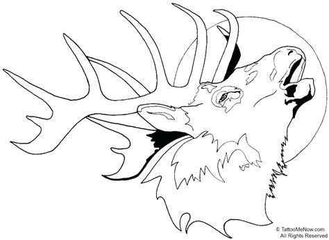 John deere truck coloring pages. Easy Deer Head Drawing at GetDrawings.com | Free for ...