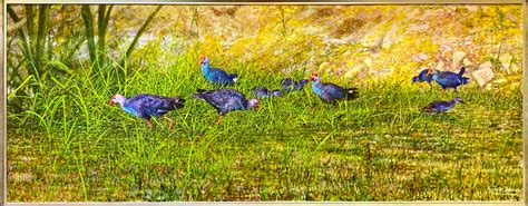 Sr dr wan maimun wan abdullah (pertubuhan wanita industri binaan m'sia). WL FRAMING & ART SDN BHD : December 2020