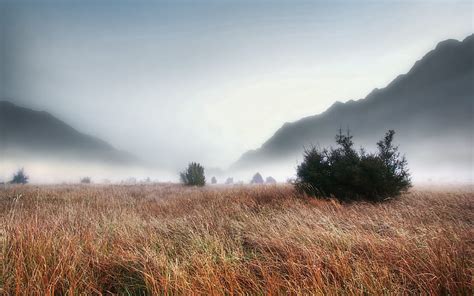 Nature Grass Mountains Autumn Fog Thick Withered Its A Sly
