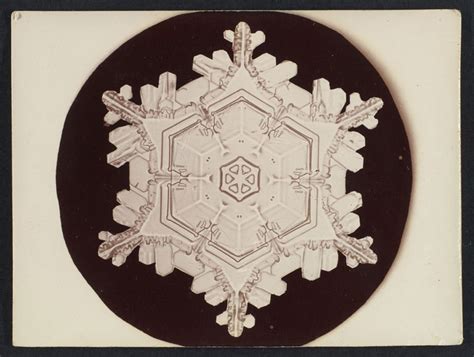 In 1885 Wilson Bentley Took The First Ever Photographs Of Snowflakes