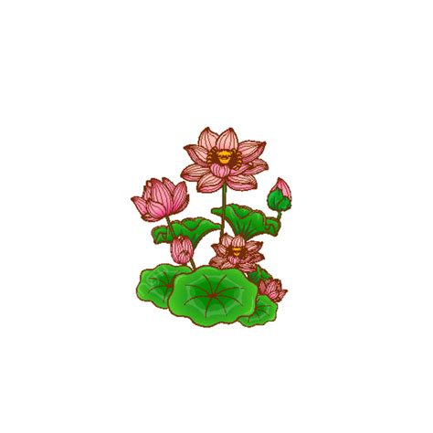 Hand Drawn Cartoon Lotus Flower Vector Free Cutout Chinese Style