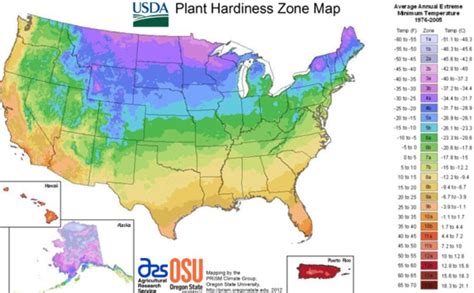 New Usda Plant Hardiness Zones Anne Of Green Gardens