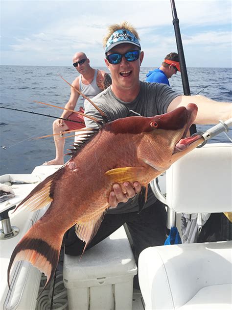 Although the tampa bay area's taco scene has grown exponentially over the past few years, it's a fair point. Our Story | Tampa Bay Offshore Charter Fishing