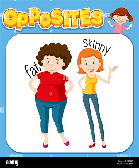 opposite words for fat and skinny illustration stock vector image and art alamy