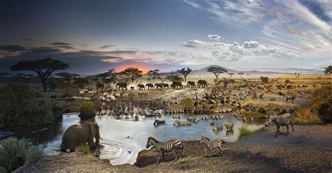 This Amazing Composite Picture By Photographer Stephen Wilkes Shows The