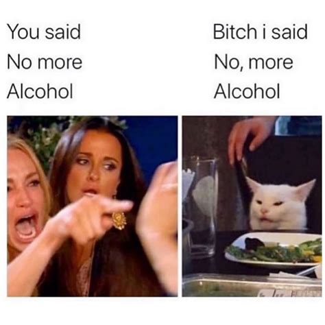 you said no more alcohol bitch i said no more alcohol funny