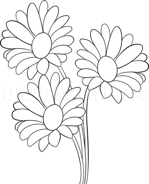How To Draw Daisies Step By Step Drawing Guide By Dawn