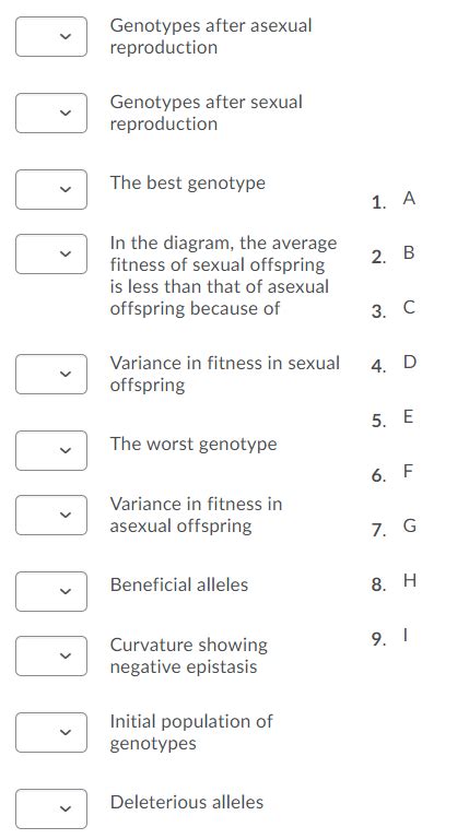 Solved Fitness E H Asexual Sexual A E Sex B B B F Ꭰ I G