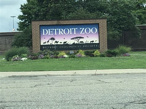 Detroit Zoo Review Zoo With Us