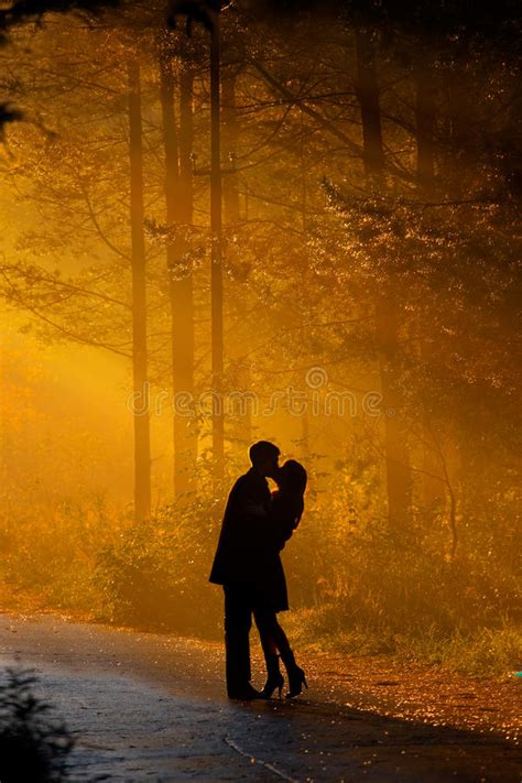 Kisssing Couple Stock Image Image Of Sunlight Scene 10930645