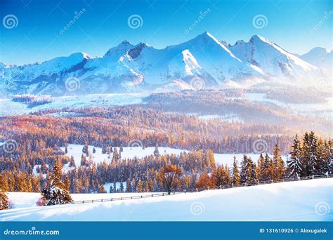Winter Mountain Landscape Auli Joshimath Uttarakhand India Stock