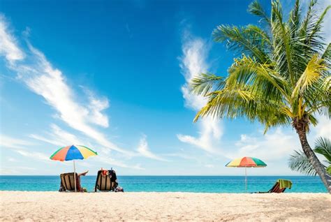 Premium Photo Exotic Tropical Beach