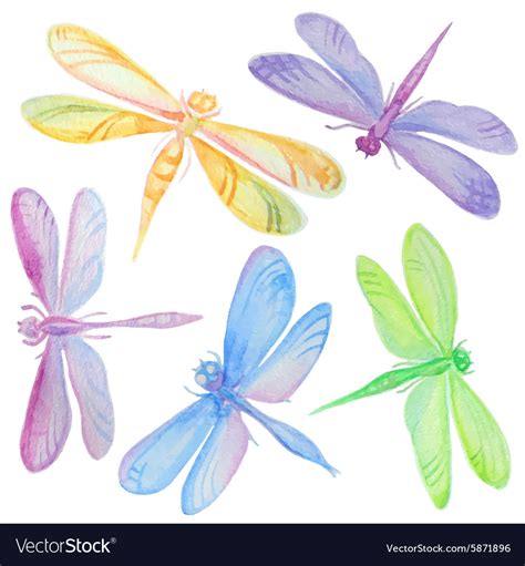 Collection Of Watercolor Dragonflies Royalty Free Vector