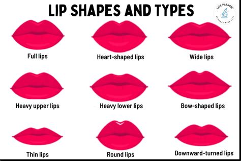 9 Different Types Of Lips Their Shapes And Sizes With Lip Chart