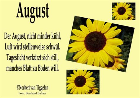 7,171 likes · 26 talking about this. August. Der August, Nicht Minder Kühl, Luft Wird ...