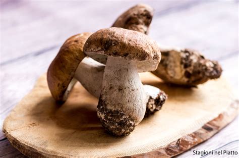 Aspetti nutritivi e proprietà dei funghi porcini - Stagioni nel Piatto