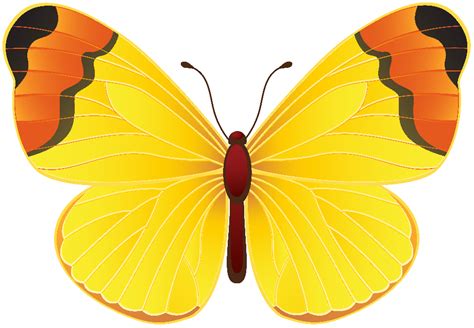 Download High Quality Butterflies Clipart Yellow Transparent Png Images