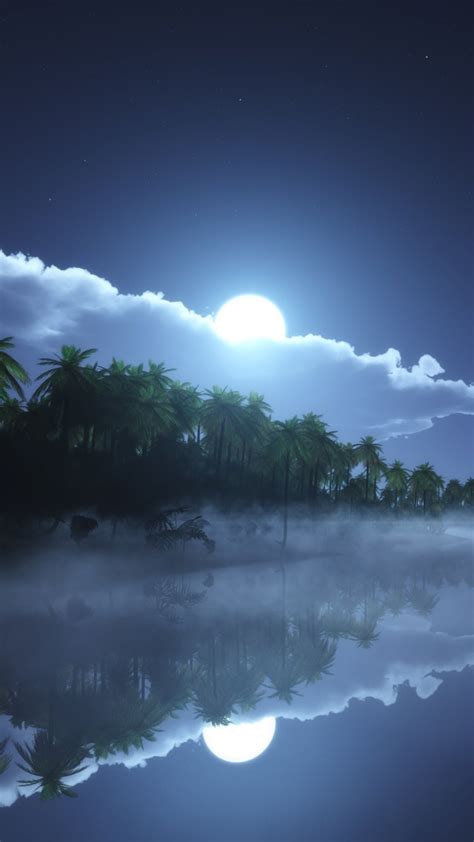Download the perfect city night pictures. Wallpaper River, 4k, HD wallpaper, sea, palms, night, moon, clouds, Nature #5714