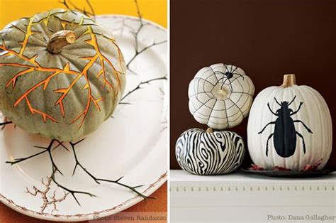 Five Unusual Halloween Pumpkins At Home With Kim Vallee Abóbora De