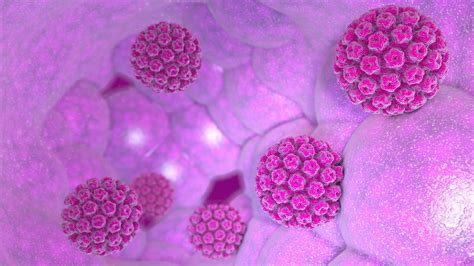 Papilloma Virus Cos Cause E Sintomi Come Prevenire Il Contagio