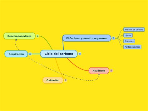 Ciclo Del Carbono Mind Map
