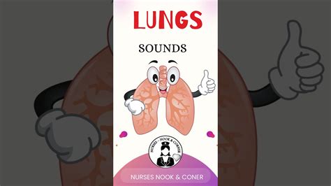 Lung Sounds Auscultate And Familiarise Shorts Medico Lungs Youtube