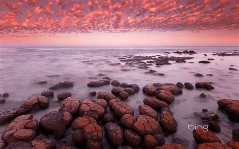 Stromatolites At Dawn In Shark Bay Western Australia Hd Wallpapers